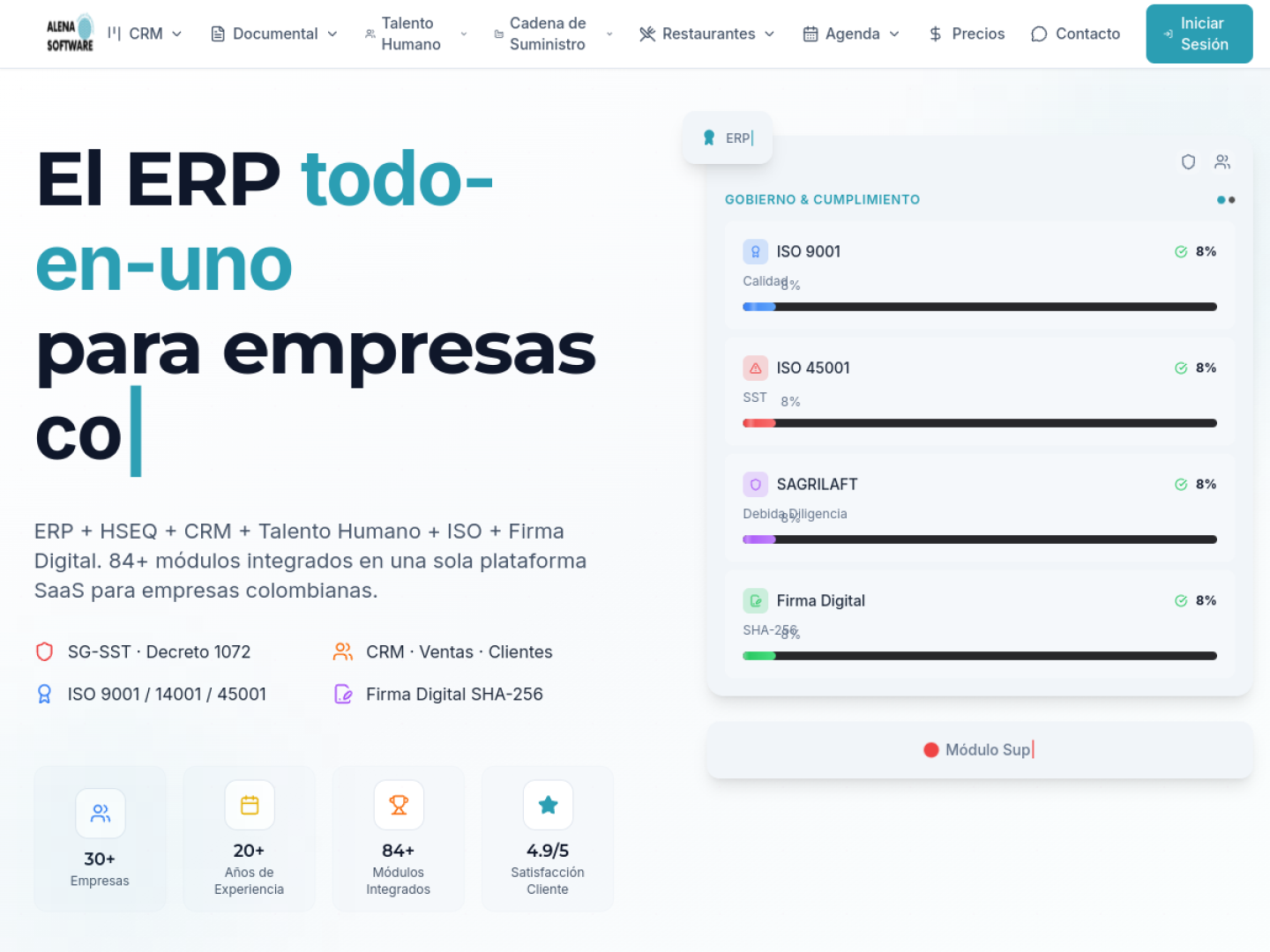 Alena Software project interface
